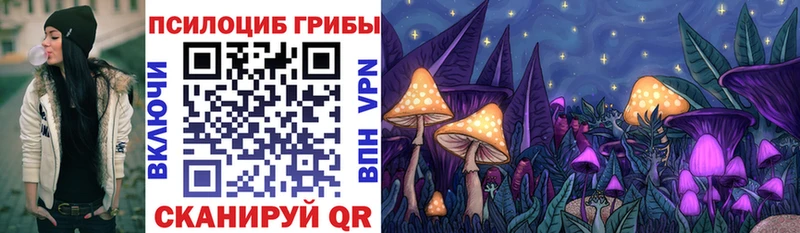 blacksprut tor  купить   Первоуральск  Псилоцибиновые грибы мухоморы 